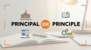 Principal or Principle