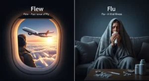 Flew or Flu