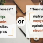 businesses or business's
